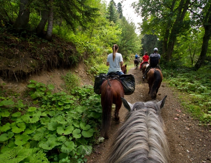 Летние развлечения на территории курорта - Отель Марриотт Красная Поляна / Sochi Marriott Krasnaya Polyana